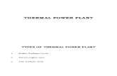 8. Thermal Power Plants