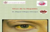 14. Hepatitis Papiloma