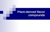 3 Plant Flavor 140520