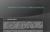 Estructura Organica, Power Point