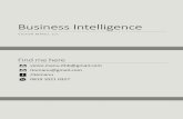 01 Business Intelligence.pdf