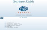 01 Bucher Random Fields - Efficient Analysis and Simulation