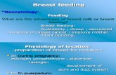 Breast Feeding Presentation 7