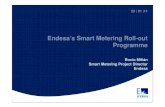 Spain_Endesa’s Smart Metering Roll-out Programme