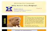 Anger in Election Campaigns part 1