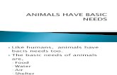 Animals Have Basic Needs