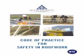 Safety in Roof Work