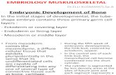 Embriologi Muskuloskeletal Dr. Elly Sp.A
