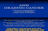 Staging and Grading Cancer