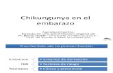 5 CHIKV_Embarazo- transm-vertical.pdf