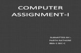 COMPUTER ASSIGNMENT.docx