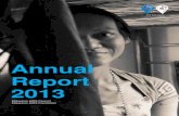 Annual Report 2013 Aids Hiv