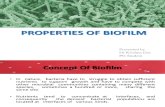 Properties of Biofilm