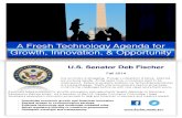 Senator Fischer Tech Agenda