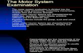 The Motor System Examination.ppt