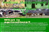 Ppt on Agriculture