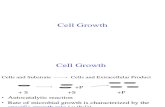 Lec 6 Cell Growth