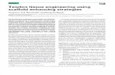 Liu, Y., Ramanath, H. S., & Wang, D. A. (2008). Tendon tissue engineering using scaffold enhancing strategies. Trends in biotechnology, 26(4), 201-209..pdf