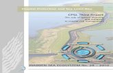 Coastal Protection and Sea Level Rise. The role of spatial planning and sediment in coastal risk management. 2010.