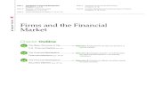 Corporations & the Financial Market