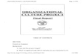 1729066 Ssa Organizational Culture Project Final Report May 2000