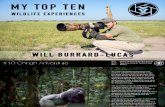 My Top 10 Wildlife Experiences