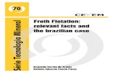 Froth Flotation: Relevant Facts and the Brazilian Case