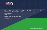 Five Star Health and Safety Management System Audit Report[1]
