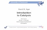 Introduction to Catalysis - Lecture 5