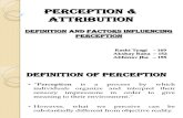 OB Presentation - Perception