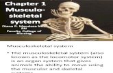 Chapter 1-Musculoskeletal System