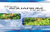Basic Aquarium Guide