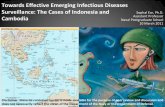 Towards Effective Emerging Infectious Diseases Surveillance: The Cases of Indonesia and Cambodia