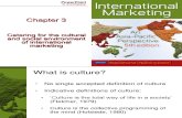 Chapter 3: Catering for the cultural and social environment of international marketing