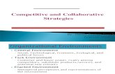 19 - Competitive and Collaborative Strategies - Copy - Copy (2)