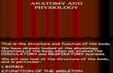 Anatomy and Physiology-Bones