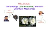 Lecture Mod Phys Fall 2014 NPG 3 Introduction Quantum Mechanics