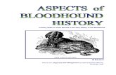 Aspects of Bloodhound History