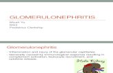 Glomerulonephritis Presentation