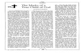 1987 Issue 2 - The Marks of a True Child of God - Counsel of Chalcedon