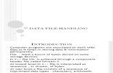 Data File Handling Points