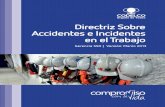 Directriz Accidentes