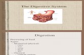 digestivesystem 2012