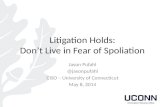Litigation Holds: Don't Live in Fear of Spoliation (233369005)