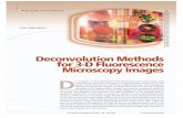 Deconvolution Methods for 3D Fluorescence Microscopy Images