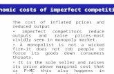 Economic Costs of Imperfect Competition