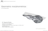 Lecture 1 - Introduction to Geometric Morphometrics