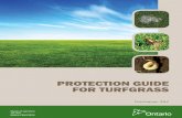 Ontario Turf Protection Guide 2014 OMAFRA Pub384