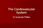 Phillips - Cardiovascular and Respiratory Function