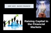 Lecture_3 finance